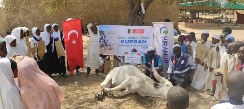 Afrika'ya Kurban Bağışı: Neden Önemli ve Nasıl Yapılır?