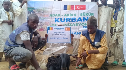 Kurban Bağışına Dair Sık Sorulan Sorular