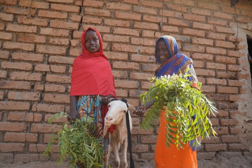 Kurban Bayramı ve Kurban Kesiminde Dikkat Edilmesi Gerekenler